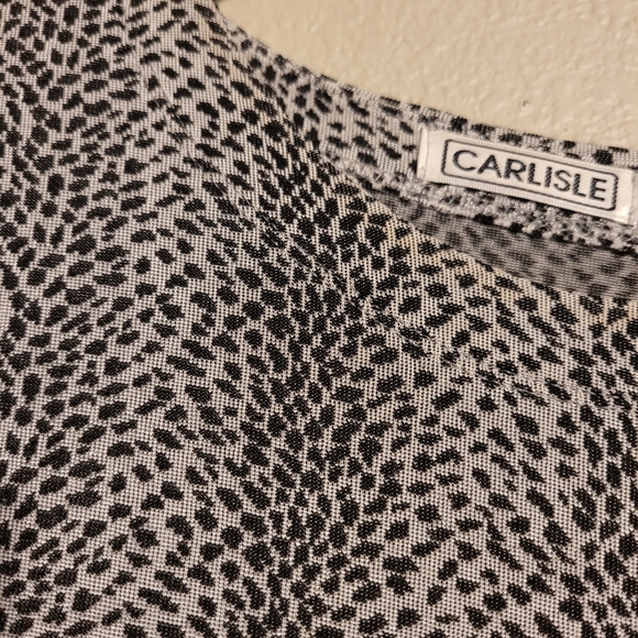 Carlisle Cheetah Print Long Sleeve Top - Picture 5 of 6